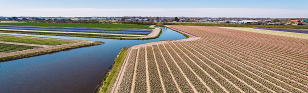 לקראת יום העיון